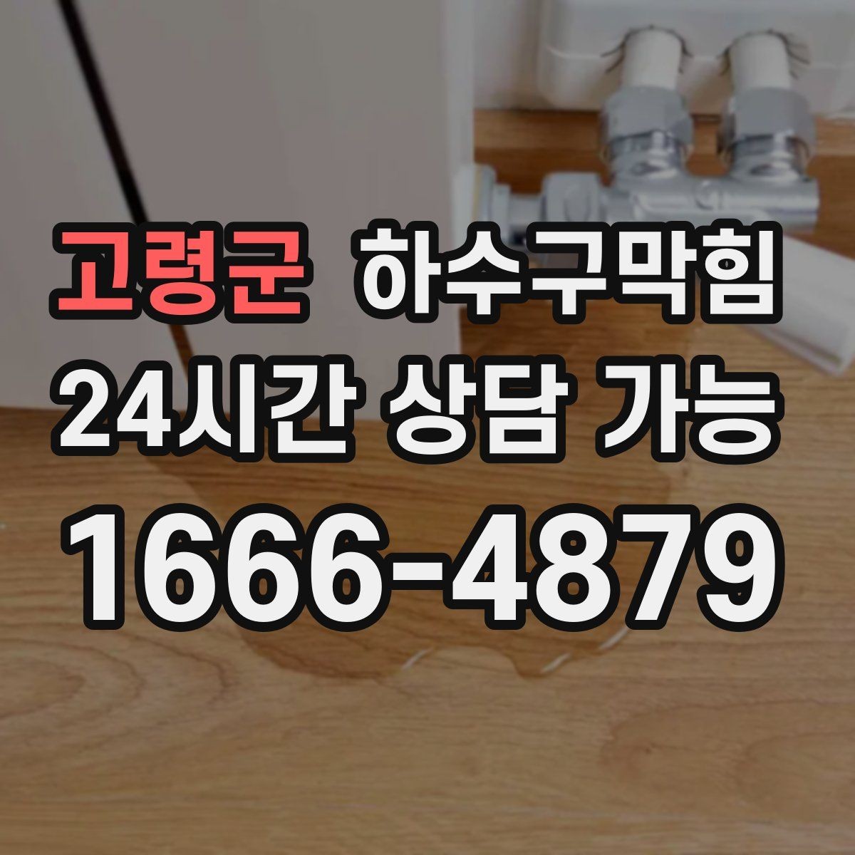고령군 하수구막힘 식당 변기막힘으로 홀과 주방이 동시에 멈춘 순간