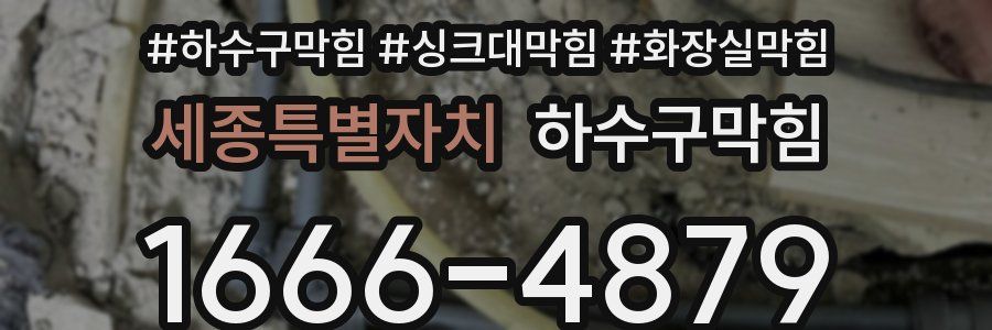 하수구막힘