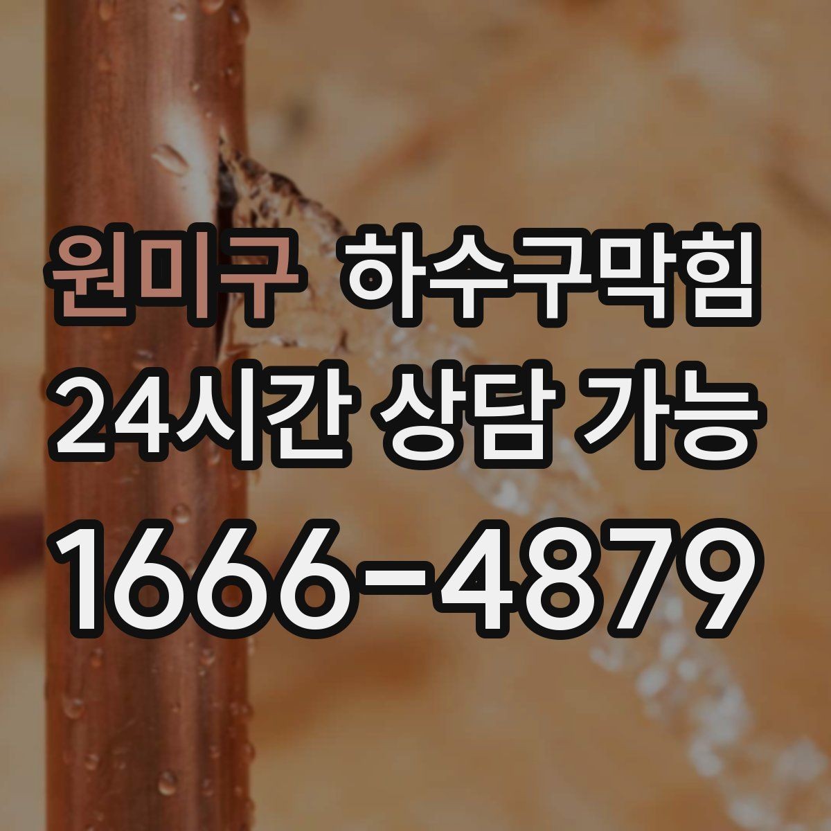 원미구 하수구막힘 현관 우편물에 번진 작은 물무늬