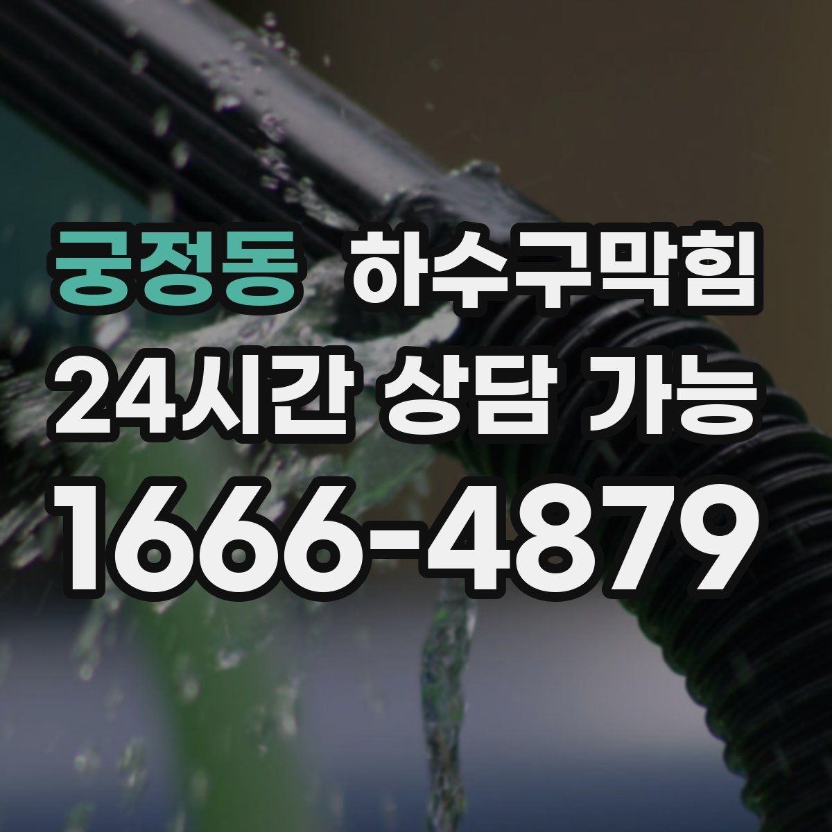 궁정동 하수구막힘 디저트 쇼케이스 앞 공기의 이물감