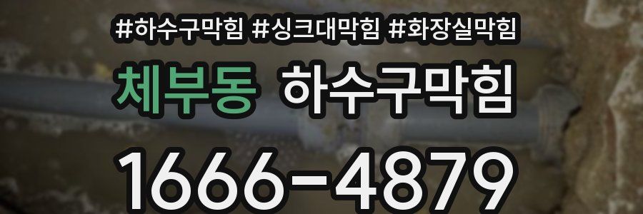 하수구막힘