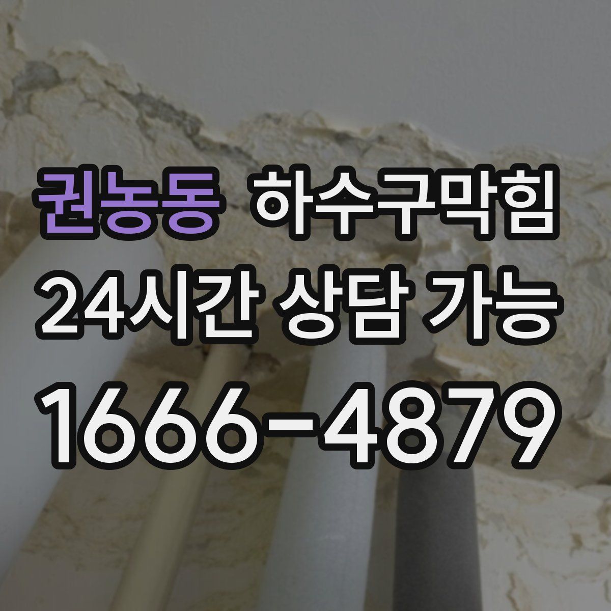 권농동 하수구막힘