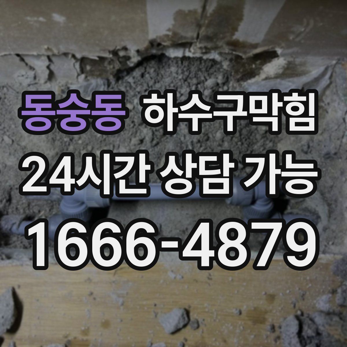 동숭동 하수구막힘