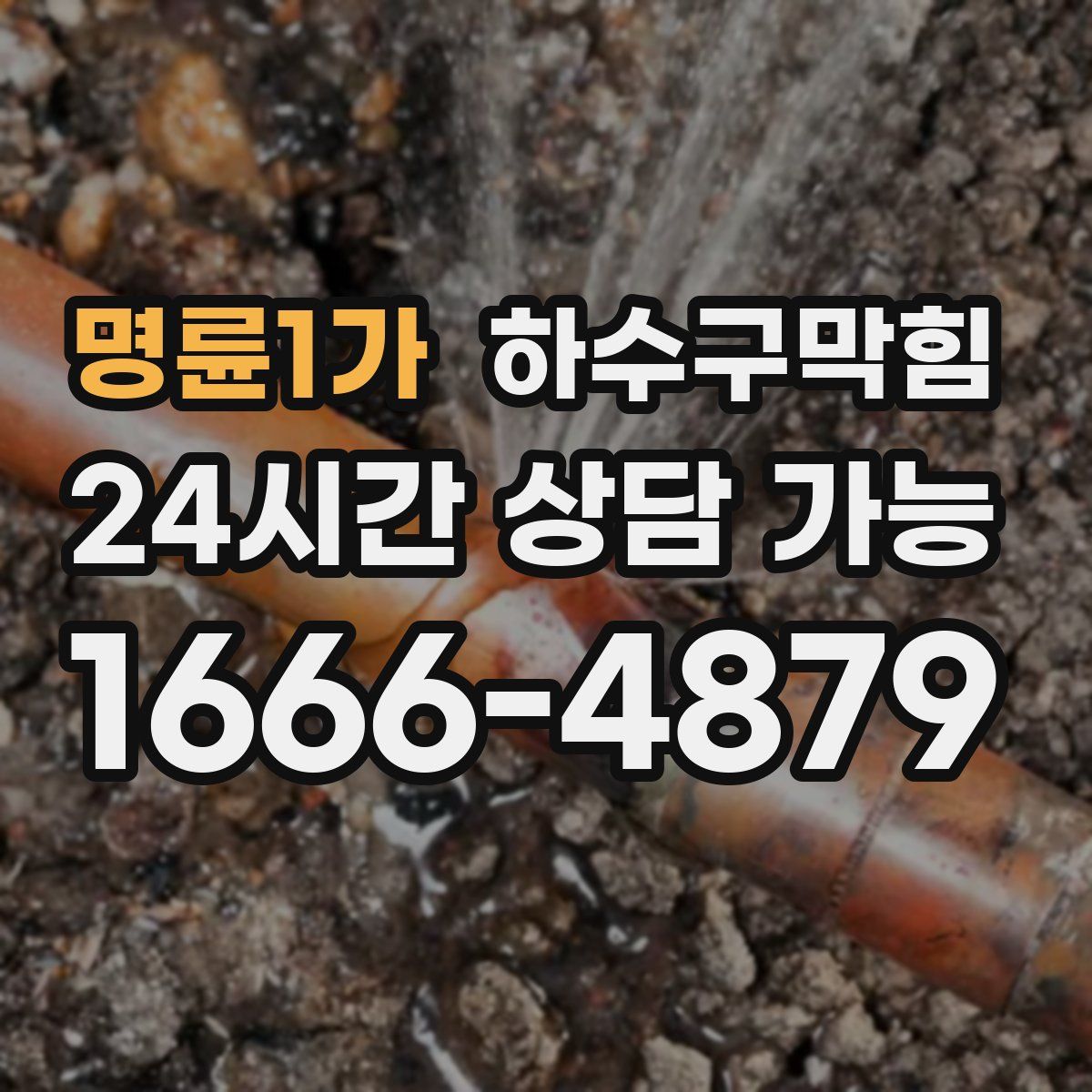 명륜1가 하수구막힘