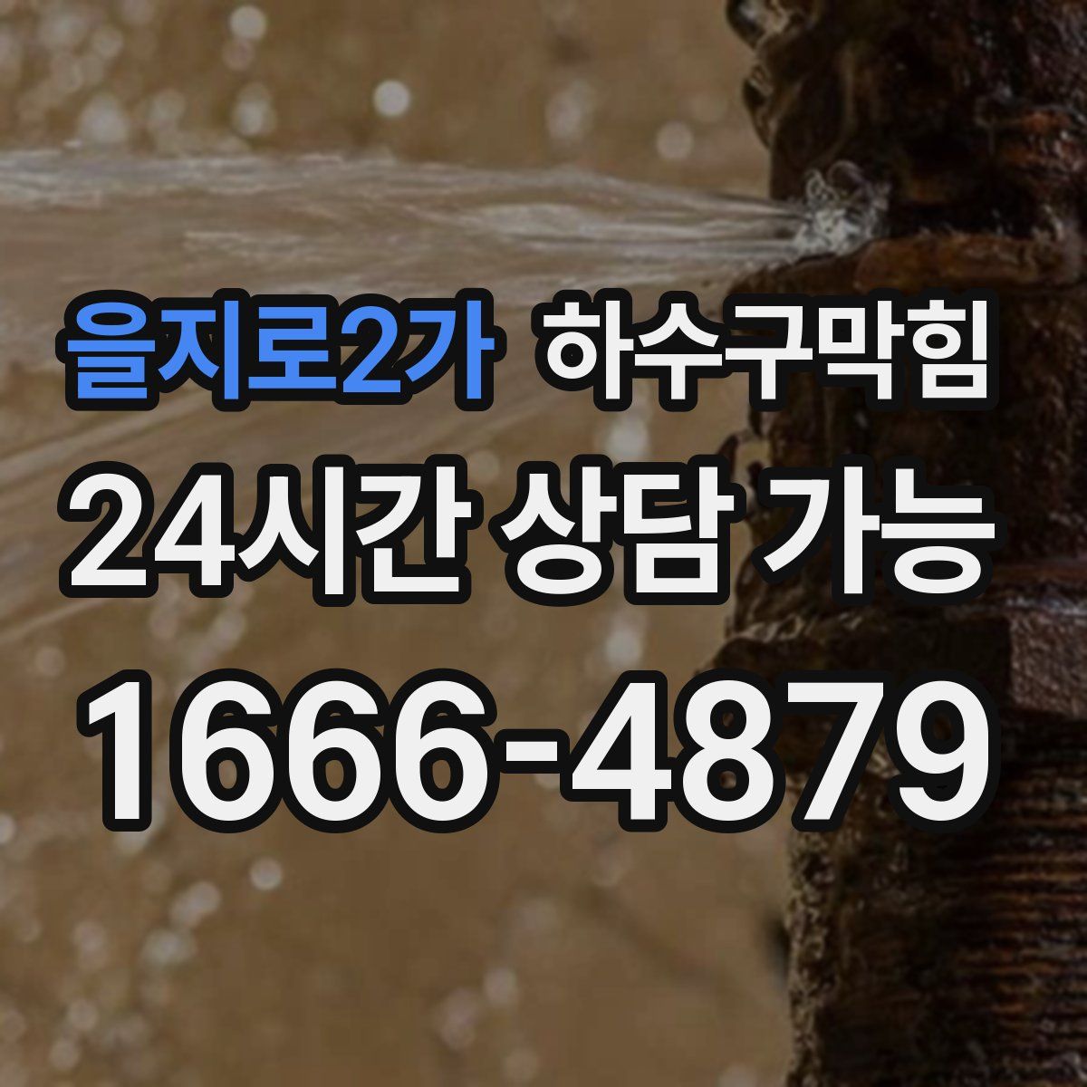 을지로2가 하수구막힘