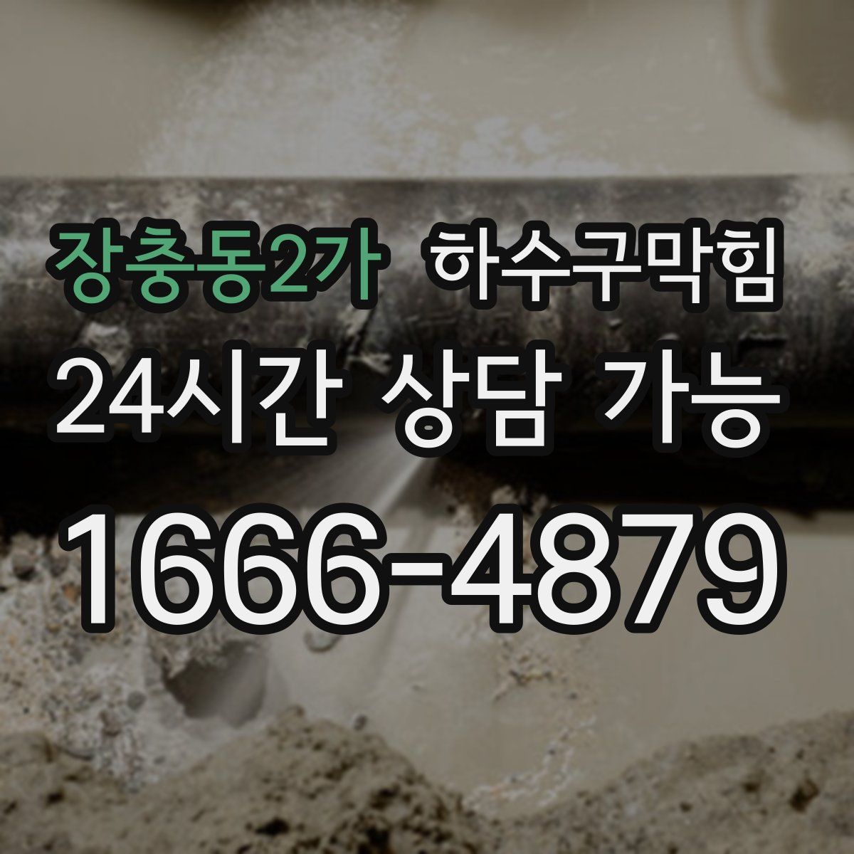 장충동2가 하수구막힘