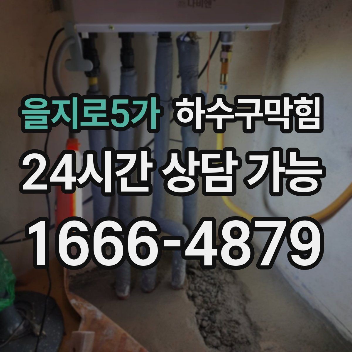 을지로5가 하수구막힘 세탁실 역류 방지 백체크 밸브