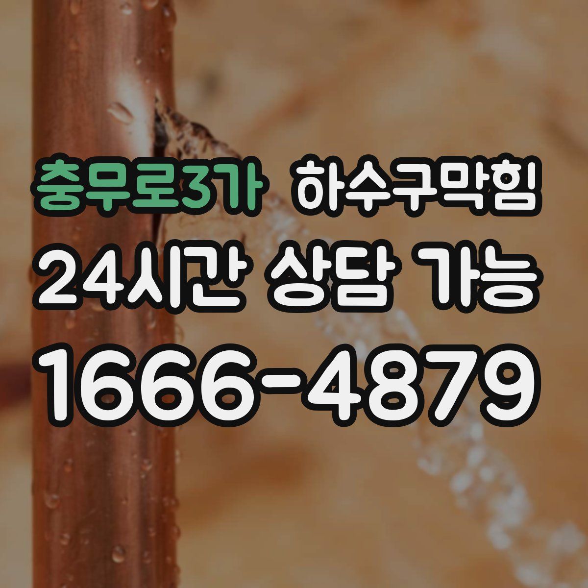 충무로3가 하수구막힘