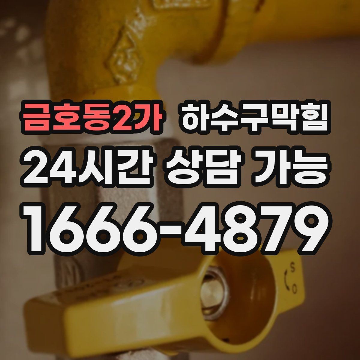 금호동2가 하수구막힘 원룸 공용 라인 동시 점검