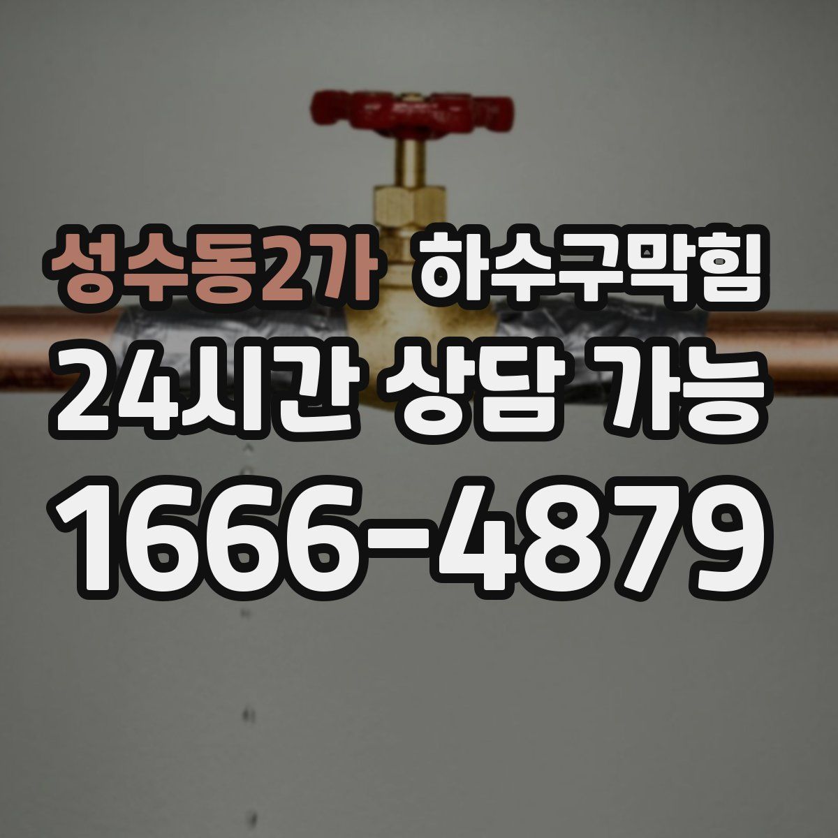 성수동2가 하수구막힘