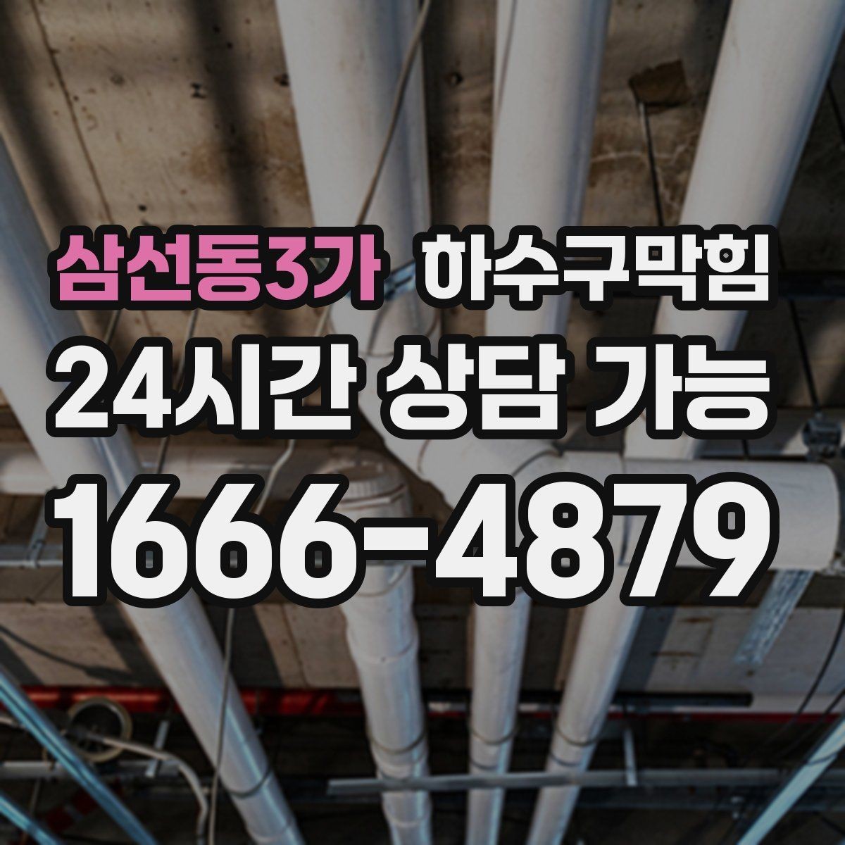 삼선동3가 하수구막힘 로비 대형 화분 받침에서 찾은 해답