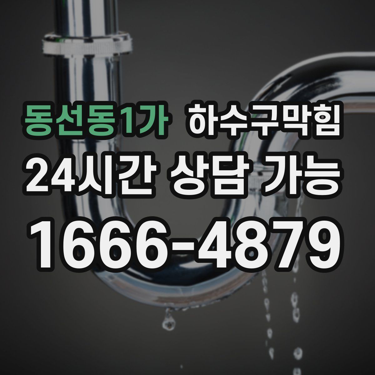 동선동1가 하수구막힘