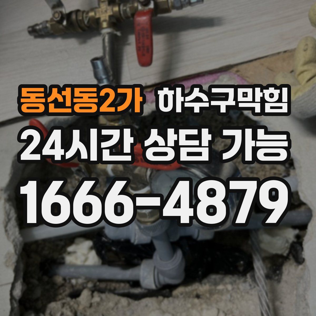 동선동2가 하수구막힘