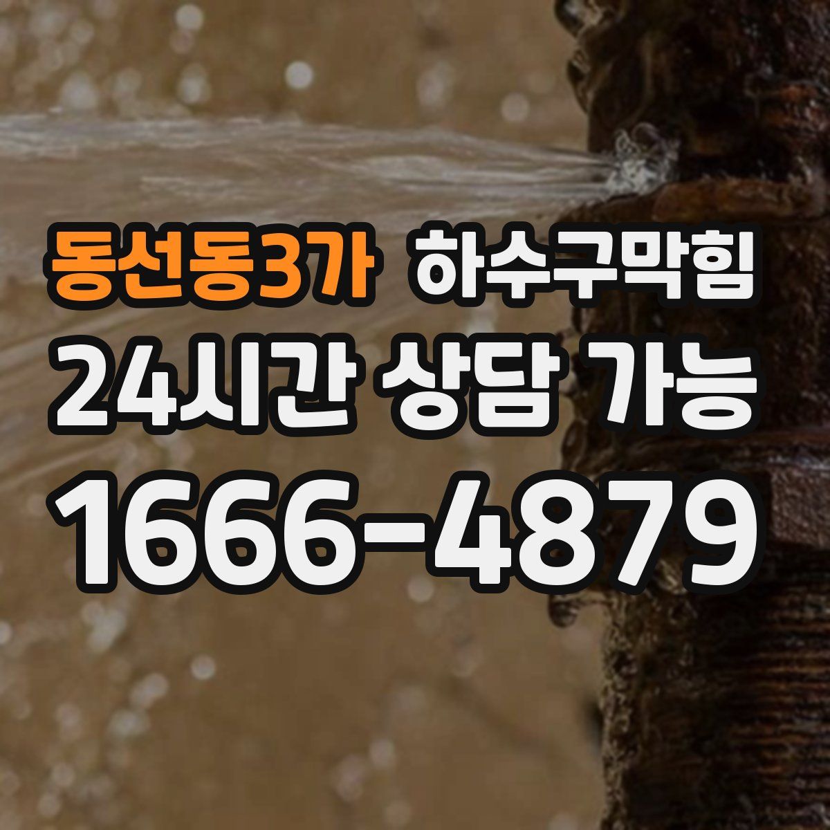 동선동3가 하수구막힘