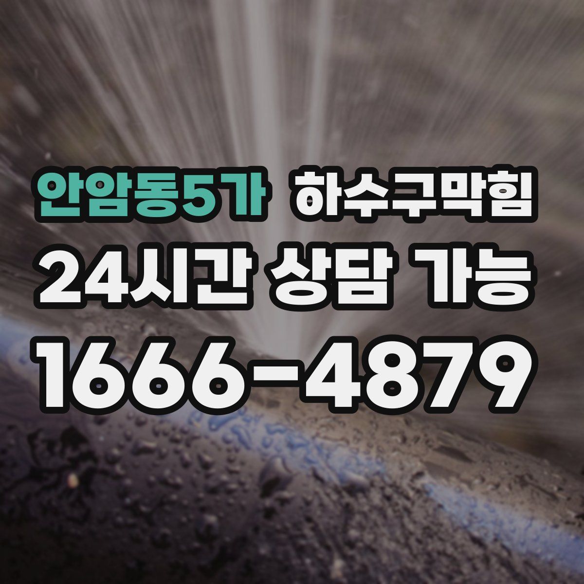 안암동5가 하수구막힘