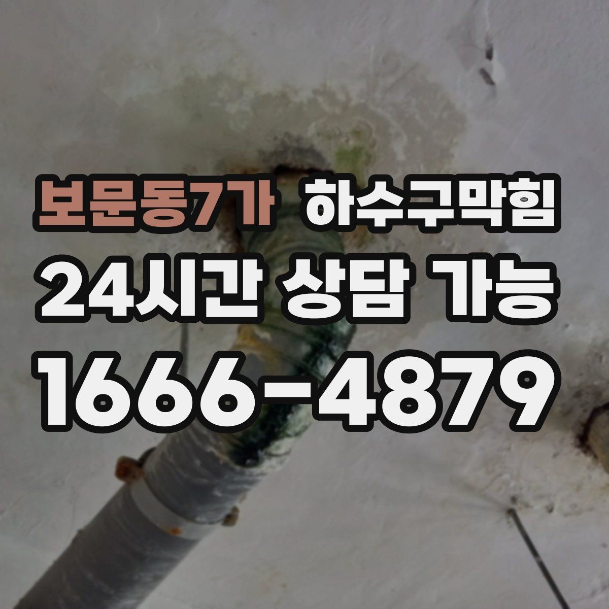 보문동7가 하수구막힘 빌라 화장실역류로 택배 문자가 지연된 사연
