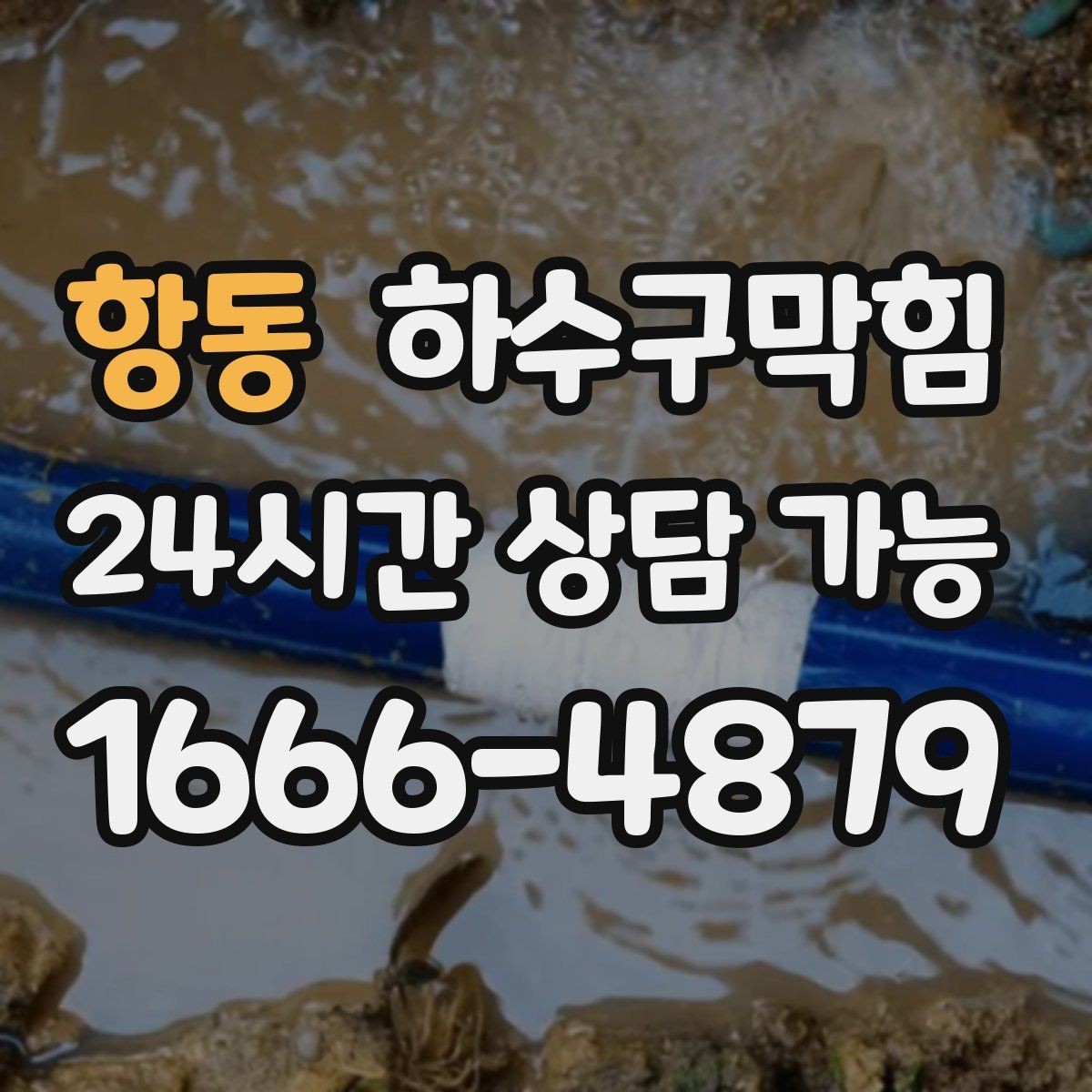 항동 하수구막힘 충전 스테이션 근처의 불청객