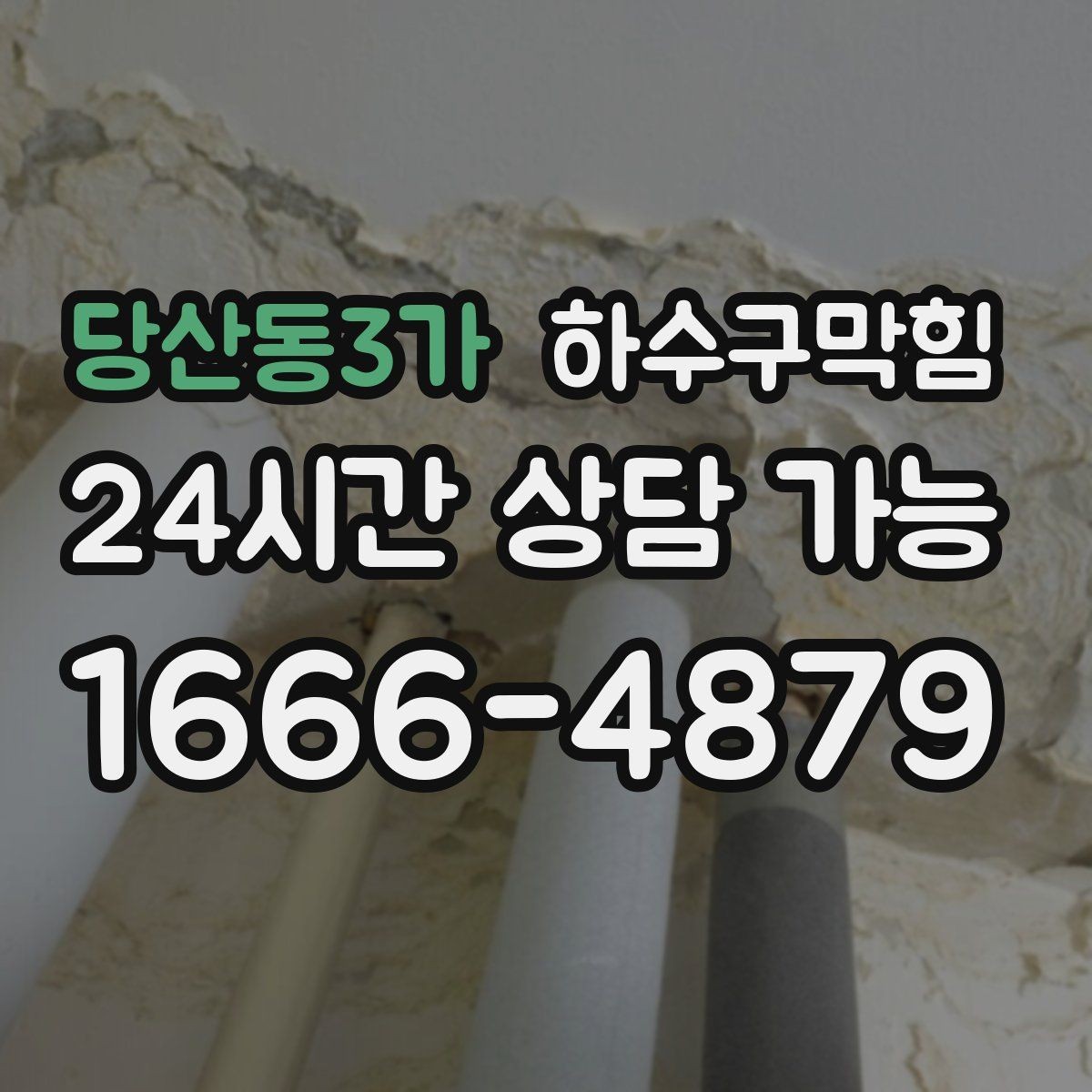 당산동3가 하수구막힘 식물 가습기와 바닥 물길의 상관