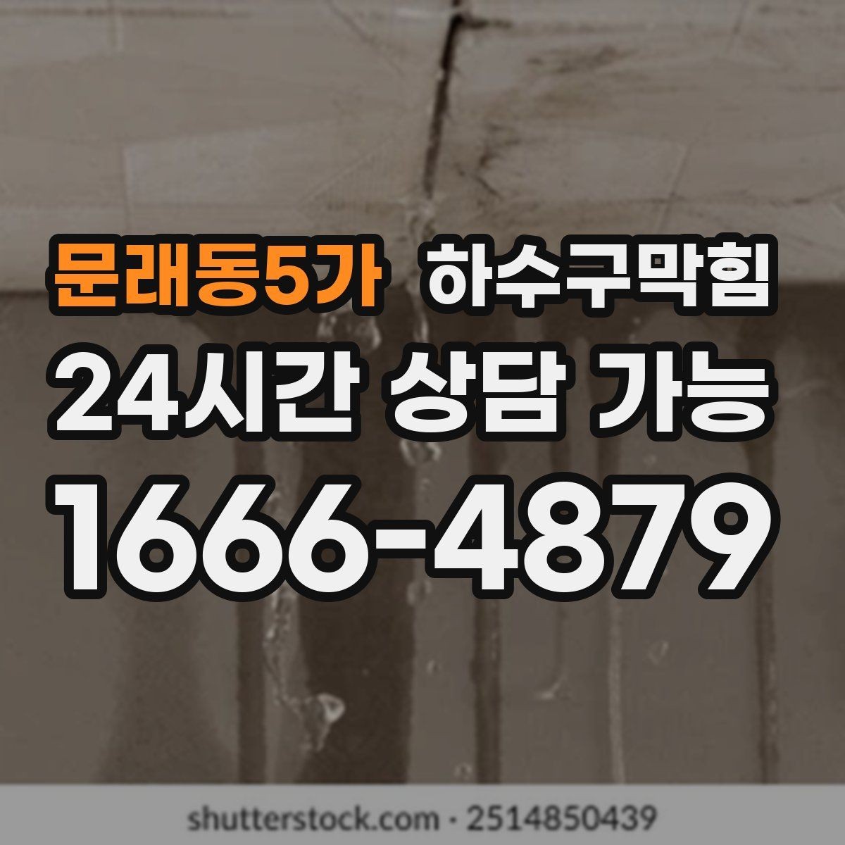 문래동5가 하수구막힘 옥상 드레인 낙엽 이물 제거