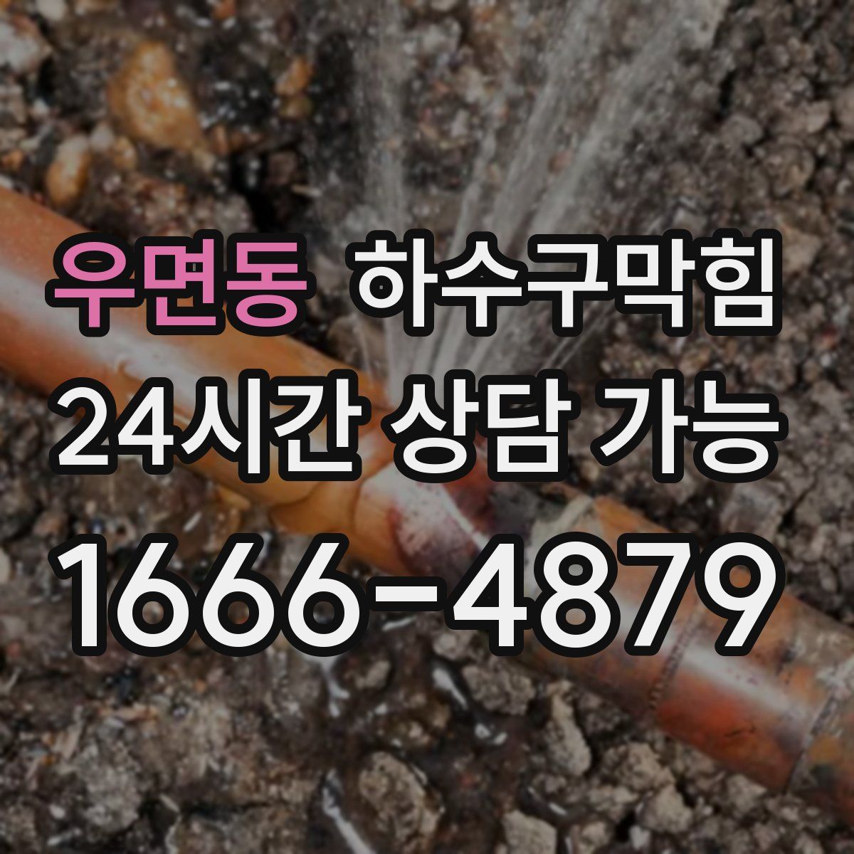 우면동 하수구막힘