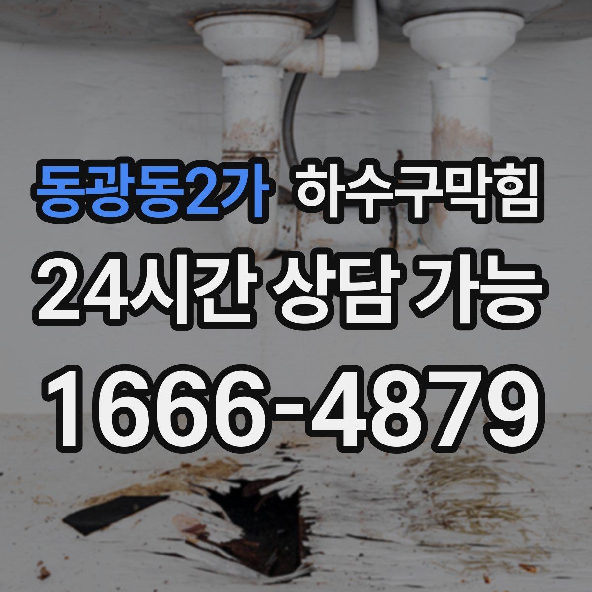동광동2가 하수구막힘 반지하 악취 곰팡이 동시 케어