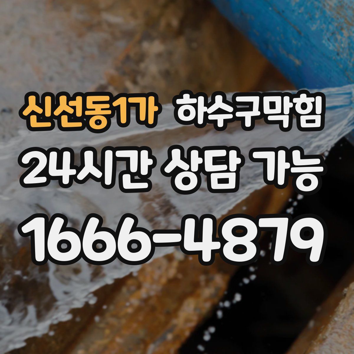 신선동1가 하수구막힘
