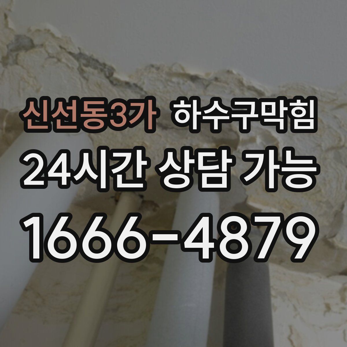 신선동3가 하수구막힘