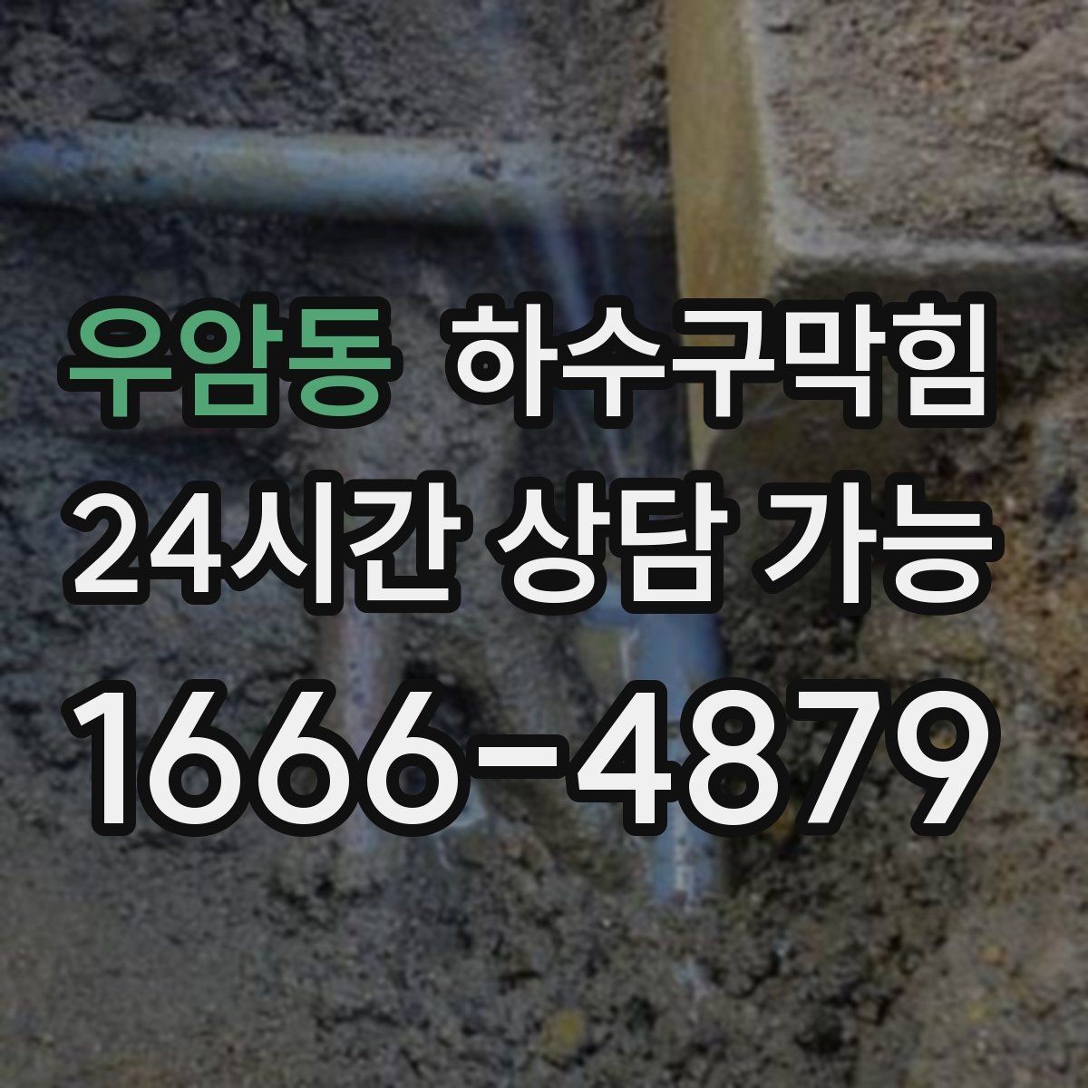 우암동 하수구막힘 카페 배수구막힘으로 베이글 굽기가 늦어진 오전