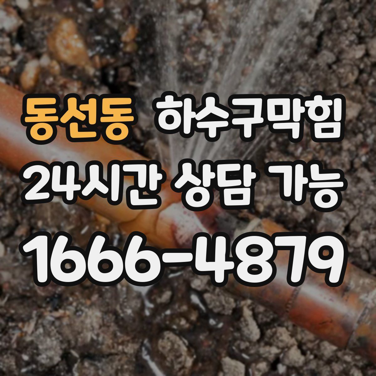 동선동 하수구막힘