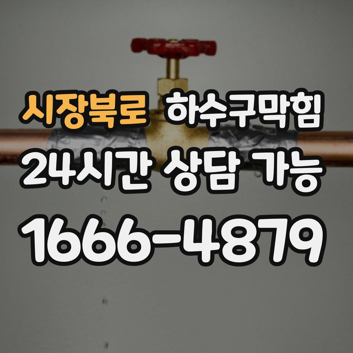 시장북로 하수구막힘