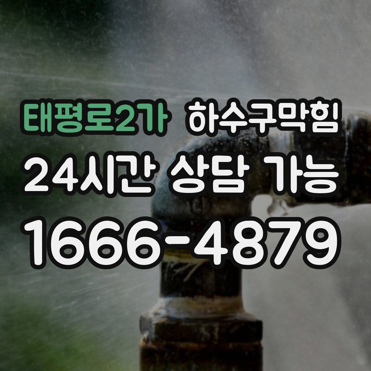 태평로2가 하수구막힘 개점 전 음악보다 먼저 도착한 신호