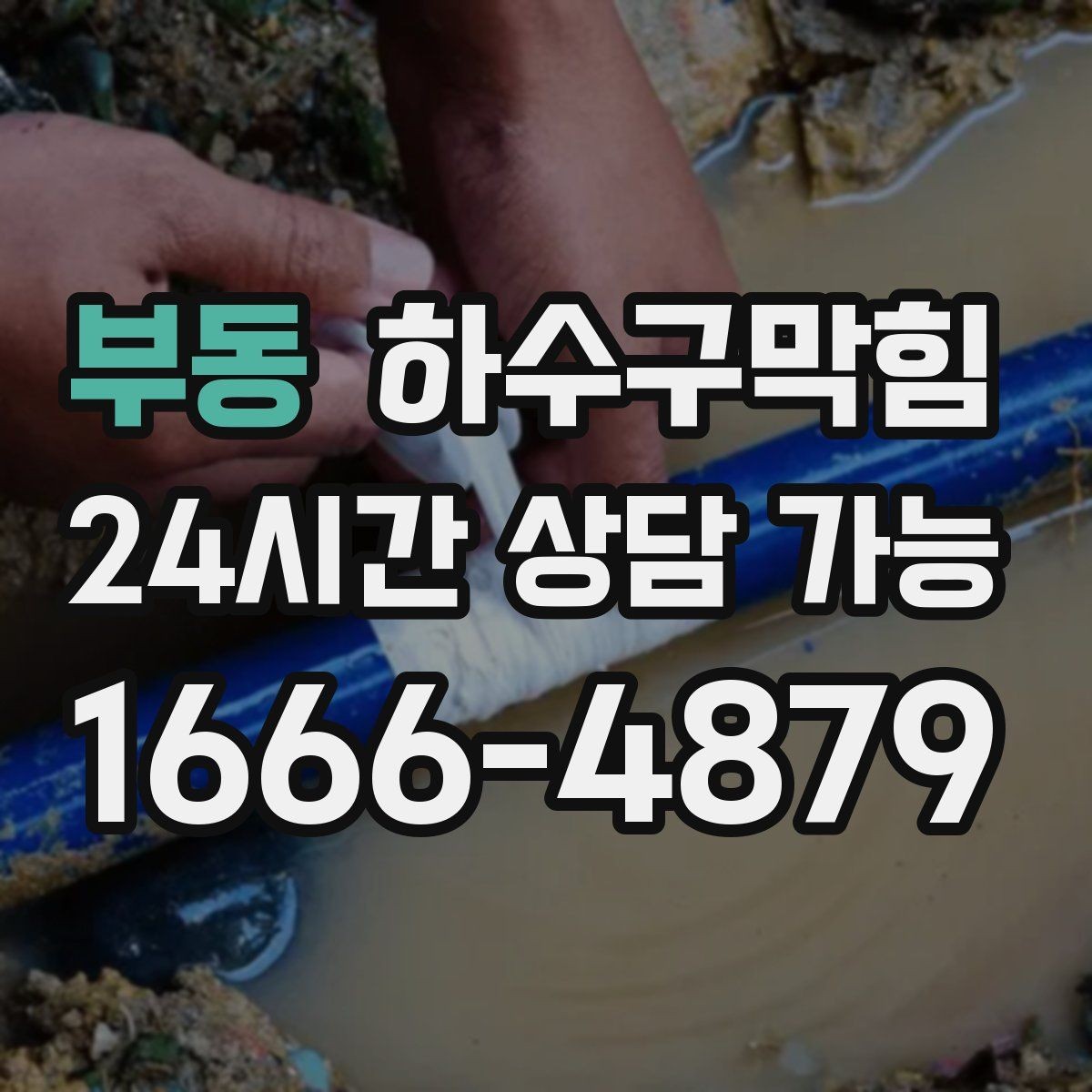 부동 하수구막힘 반 지하에서 위층으로 번지는 불편