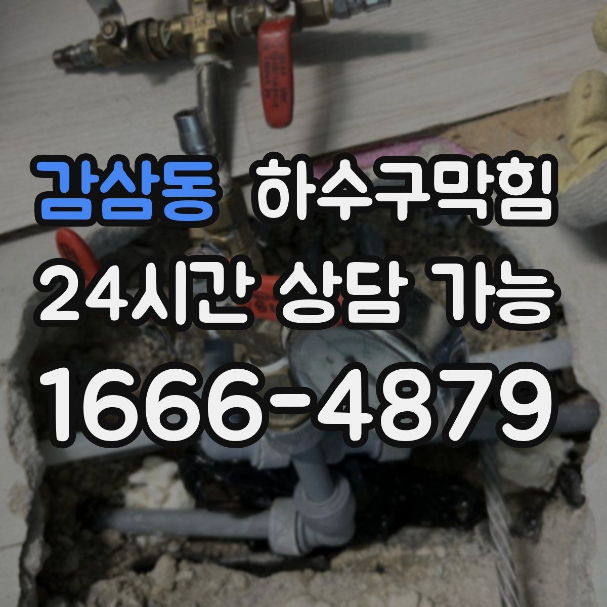 감삼동 하수구막힘 반려동물 물그릇이 비워지는 속도