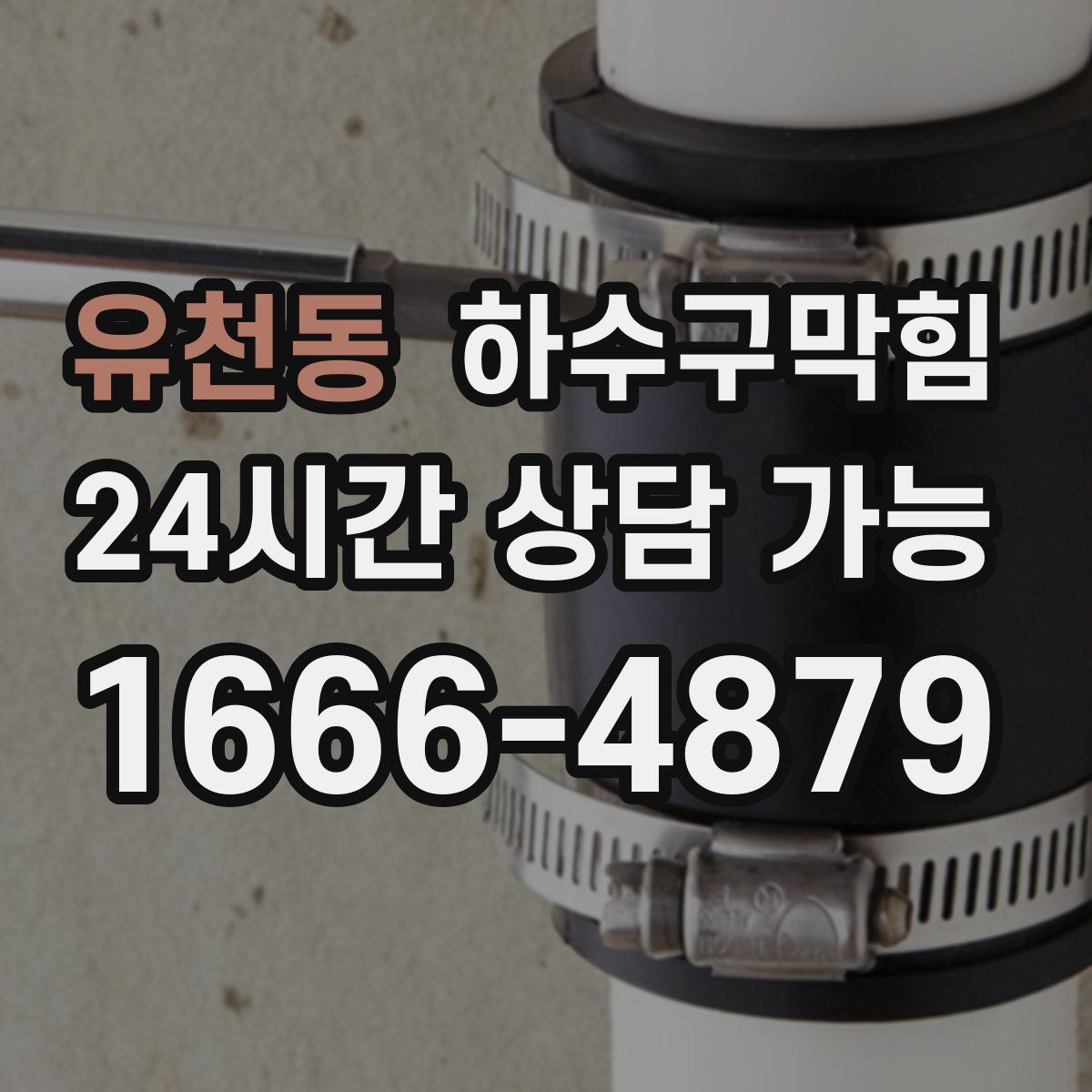 유천동 하수구막힘