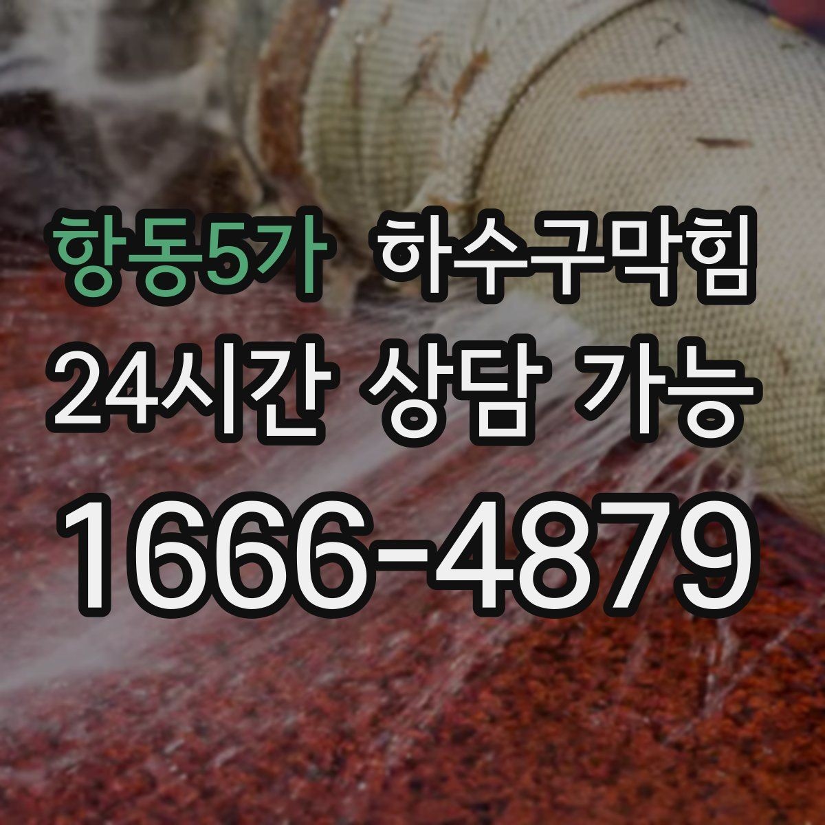 항동5가 하수구막힘 전자레인지 열 때마다 스치던 냄새