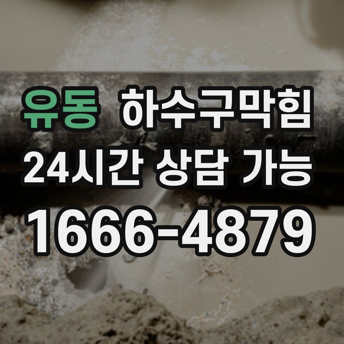 유동 하수구막힘