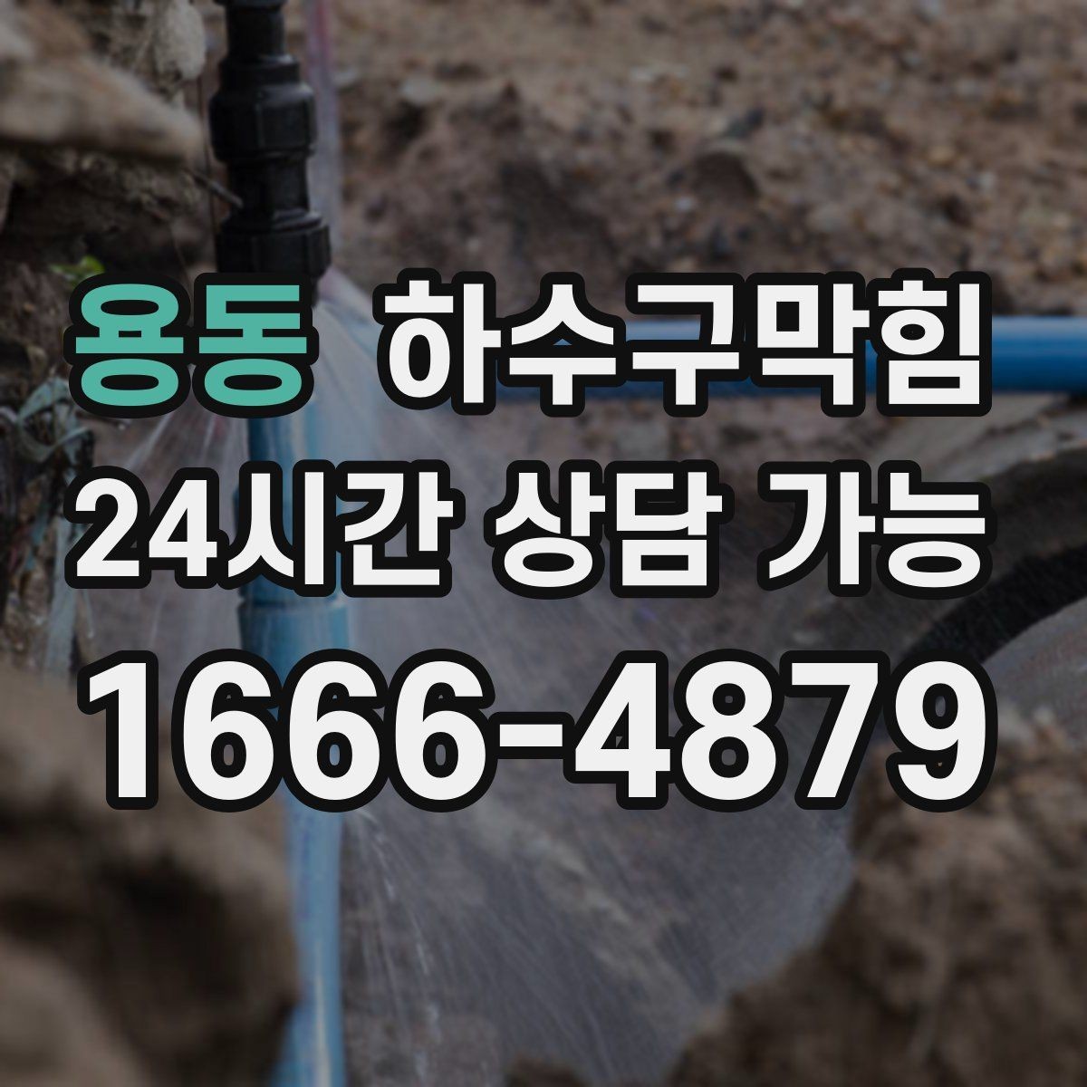 용동 하수구막힘 아파트 하수구뚫기 후 현관 화분 잎이 살아난 날