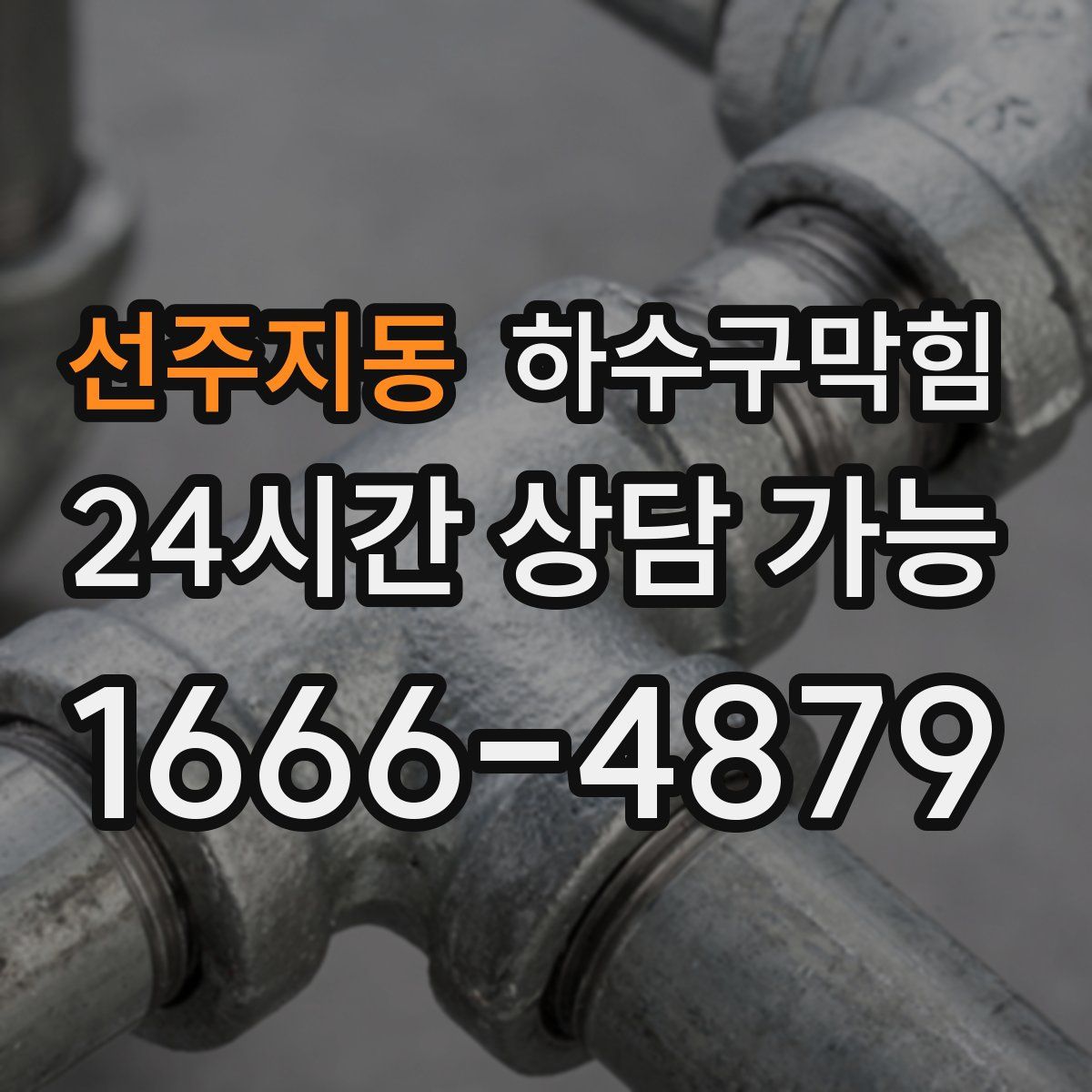 선주지동 하수구막힘