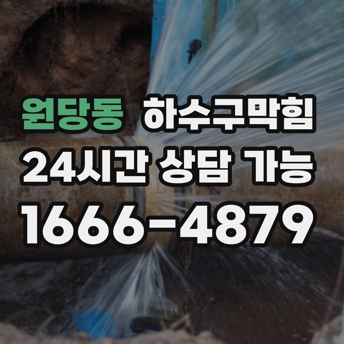 원당동 하수구막힘