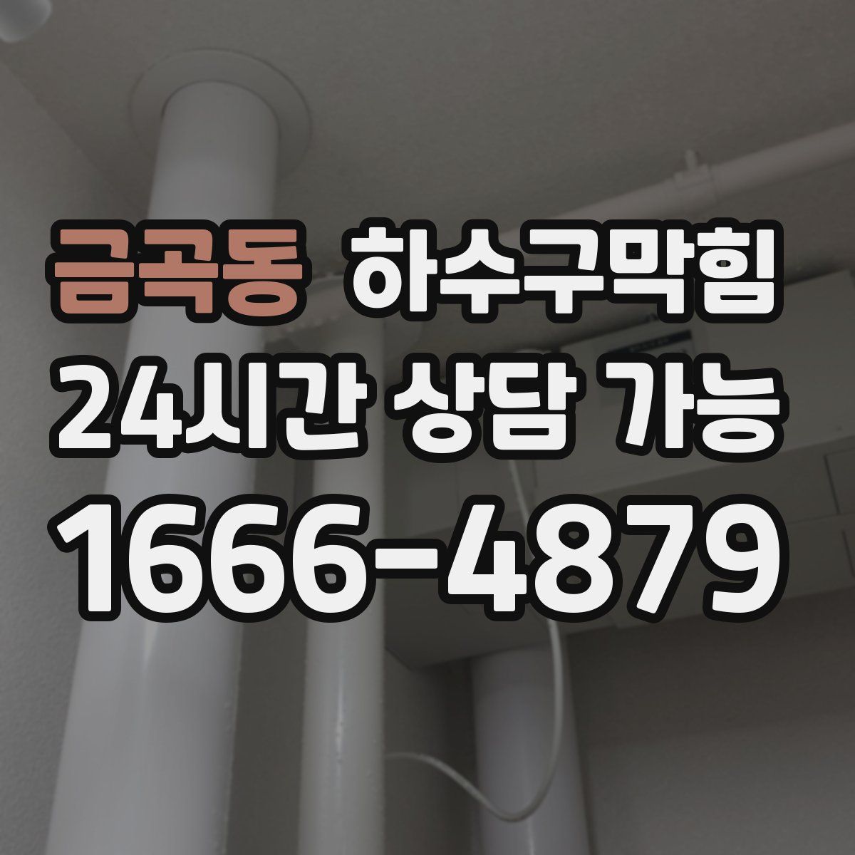 금곡동 하수구막힘