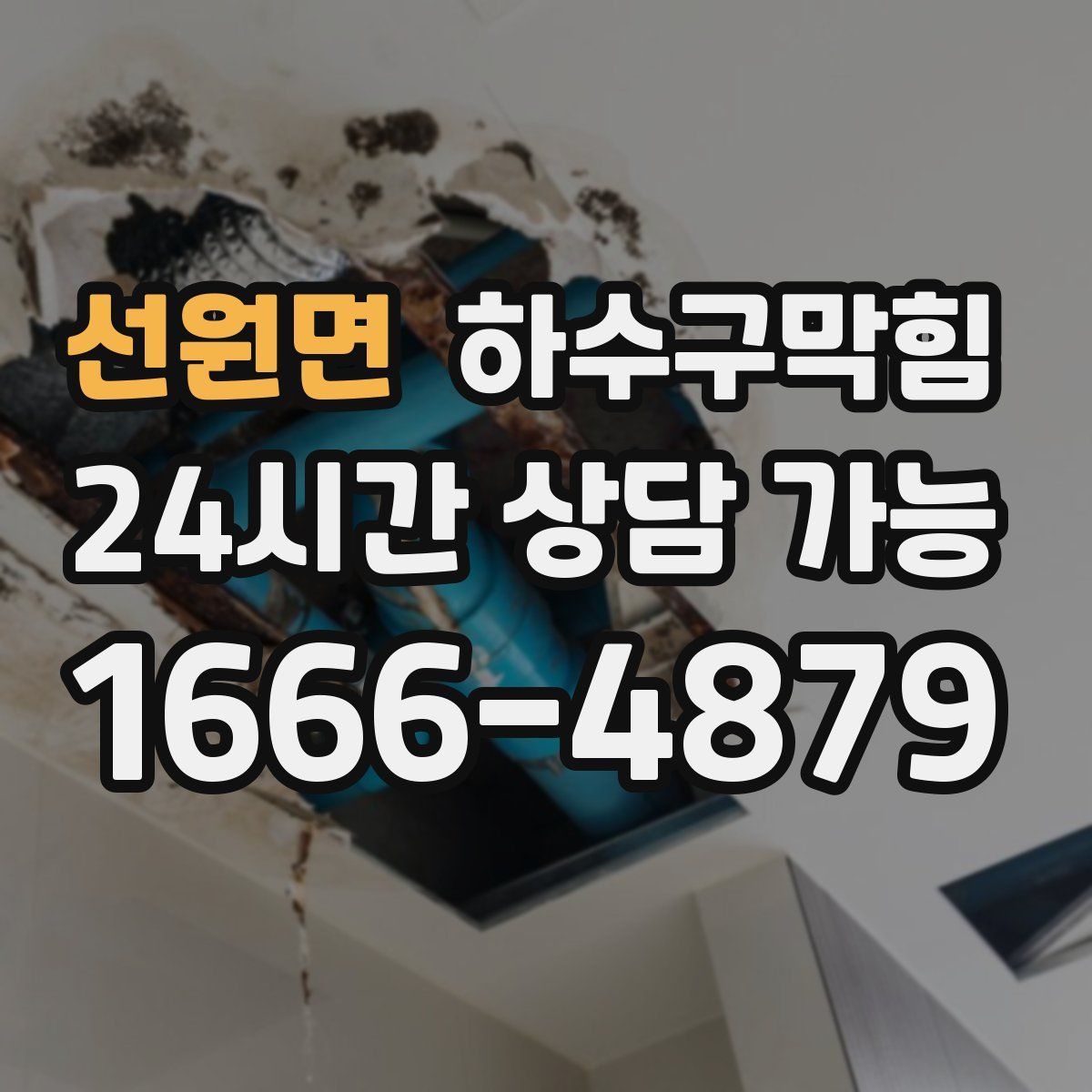 선원면 하수구막힘