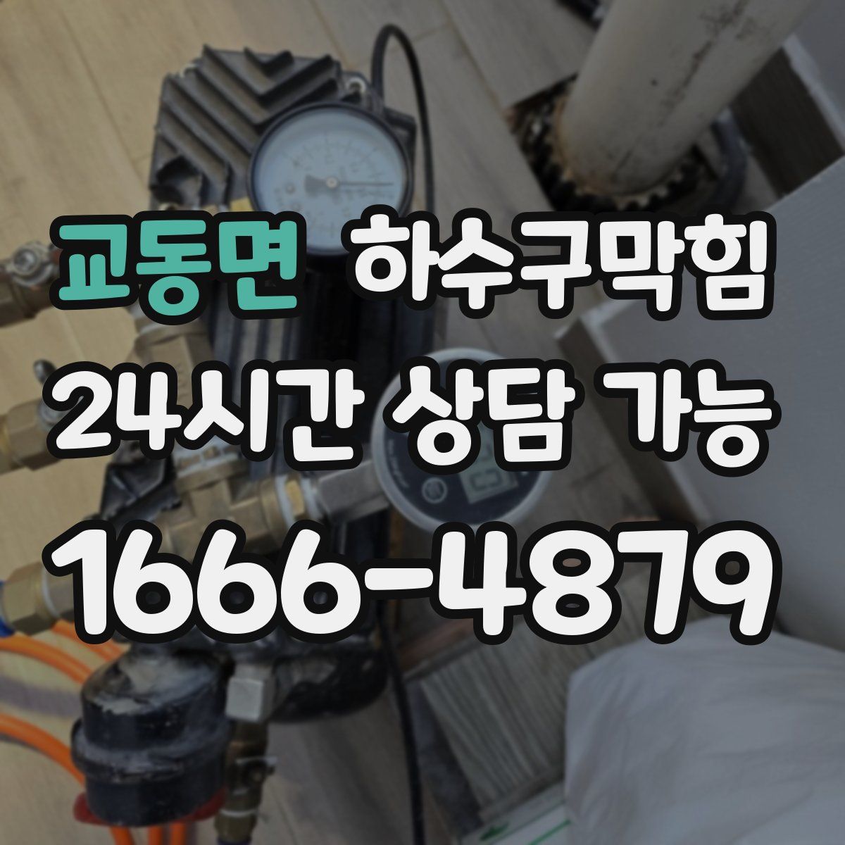 교동면 하수구막힘