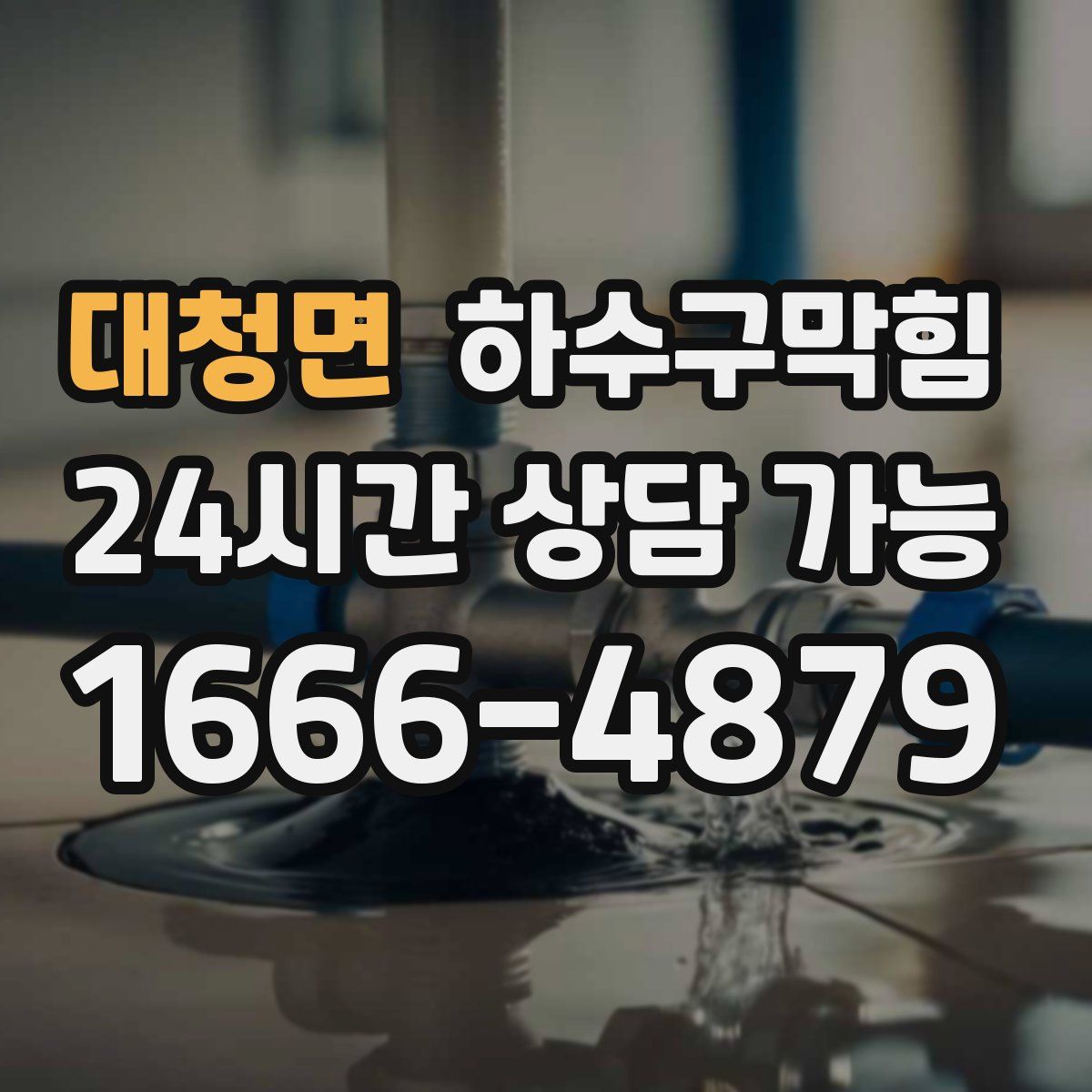 대청면 하수구막힘