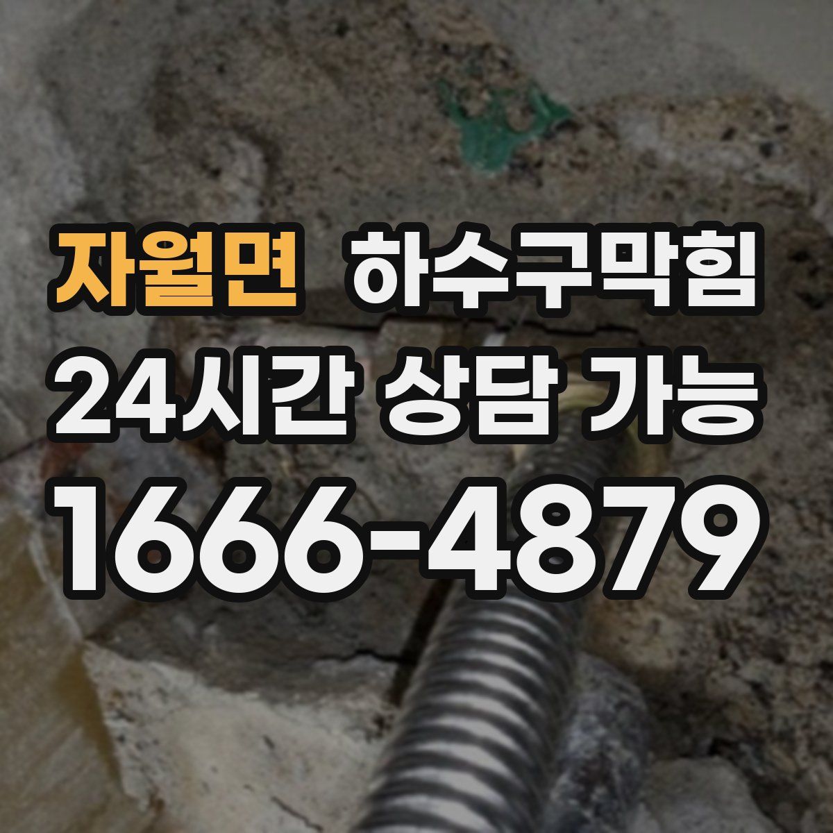 자월면 하수구막힘