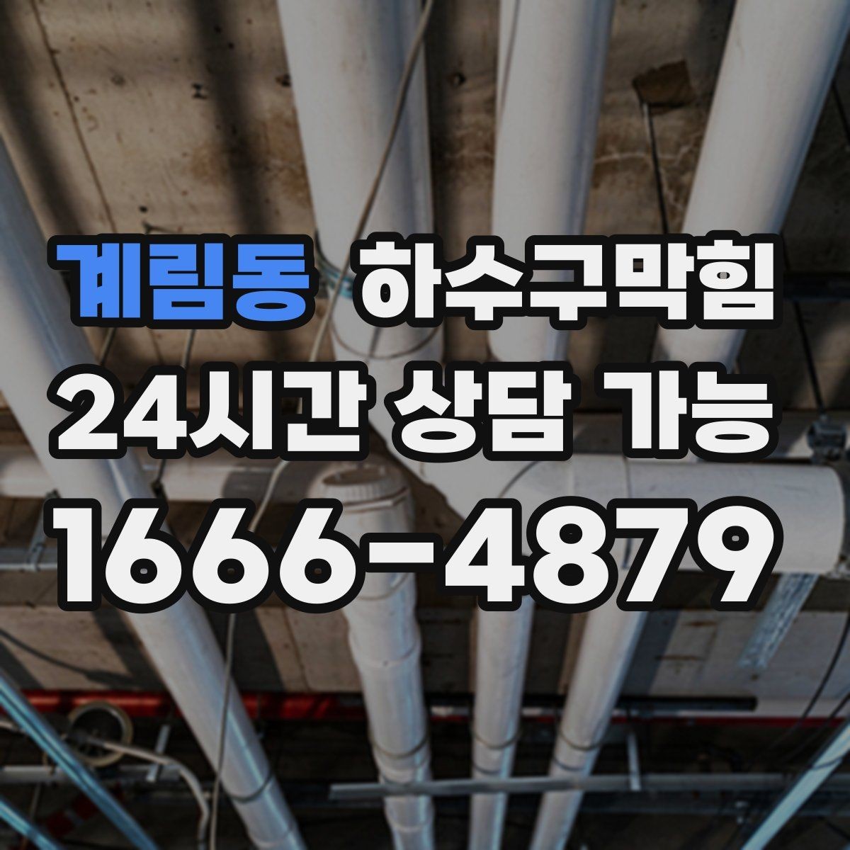 계림동 하수구막힘 종이 메뉴판이 축축해진 날의 기록