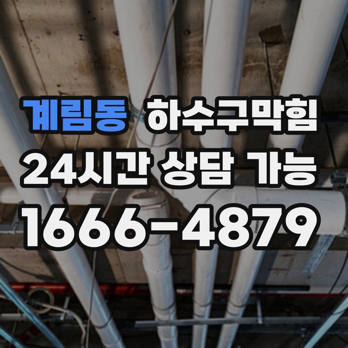 계림동 하수구막힘