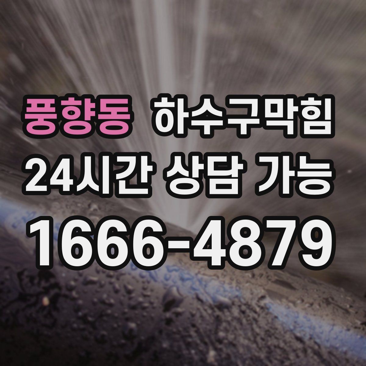 풍향동 하수구막힘 쇼핑몰 공용 화장실 쾌적도 높이기