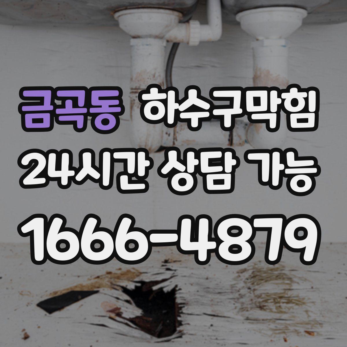 금곡동 하수구막힘