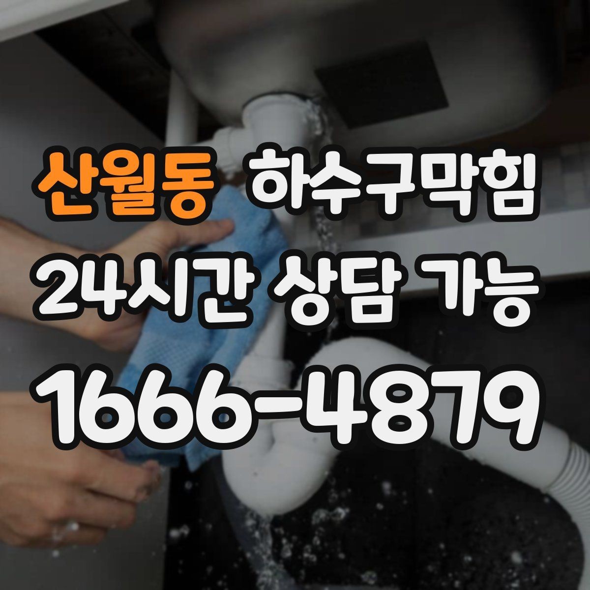 산월동 하수구막힘 반려동물 집 근처에 모인 작은 단서