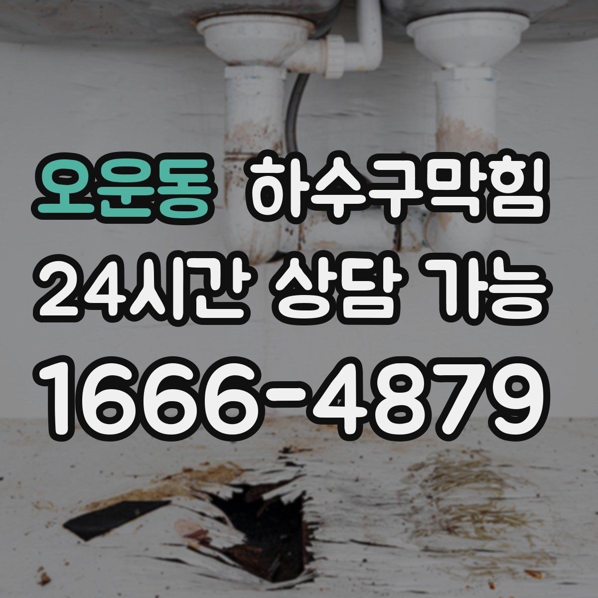 오운동 하수구막힘 빗물받이 낙엽 제거 긴급 케어